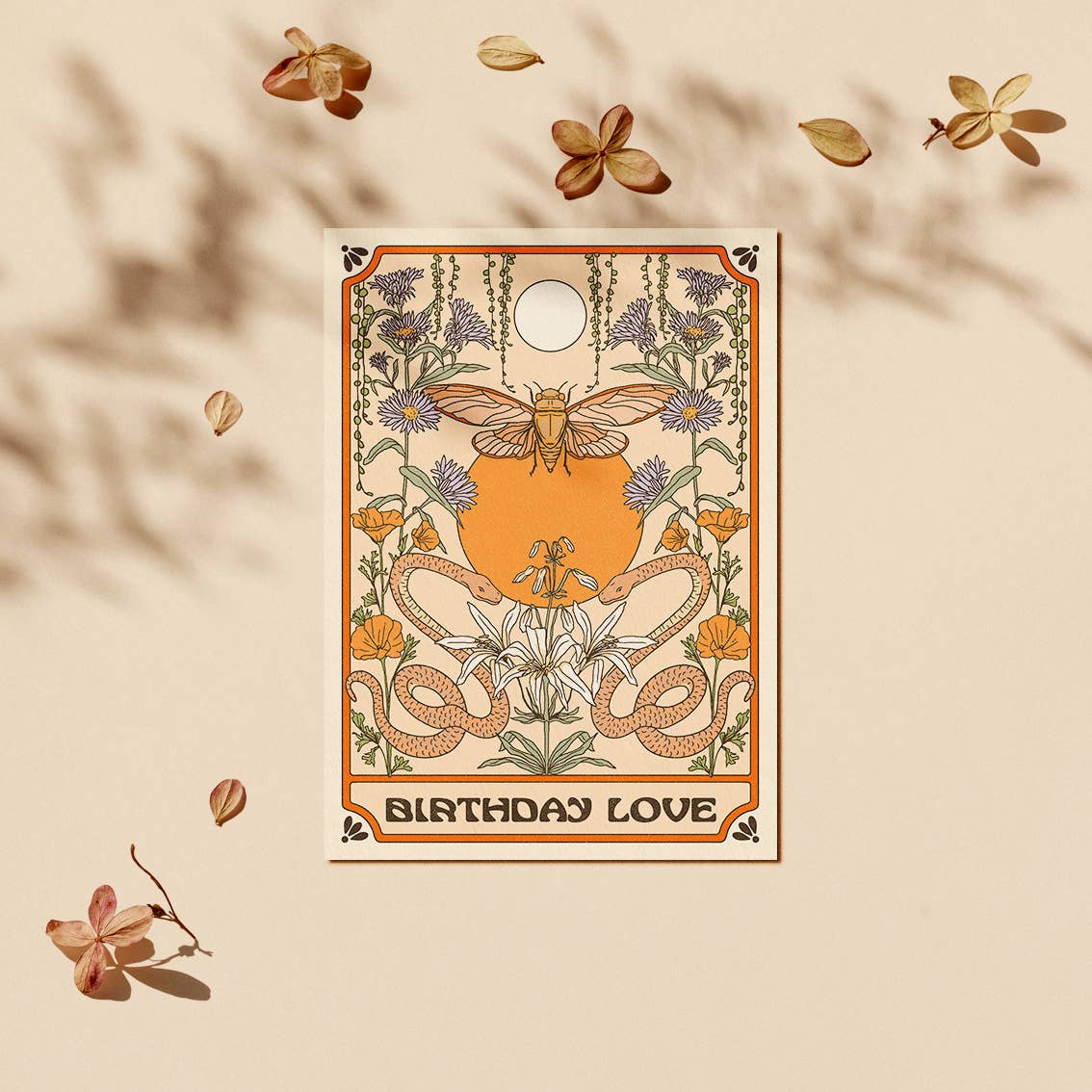 cai & jo - Birthday Love Card: With cello wrap