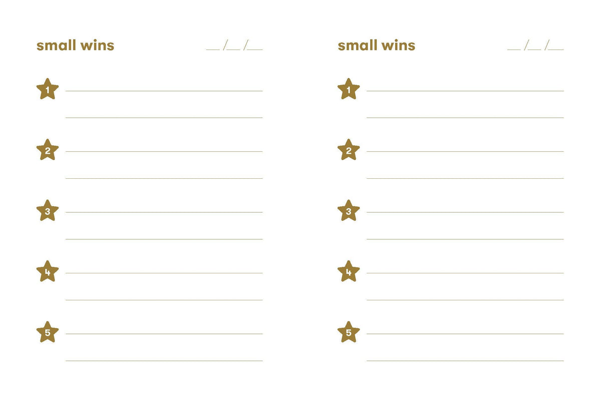 Abrams & Chronicle Books - Small Wins - A Journal to Celebrate Your Mini Milestones (Diary or Journal)