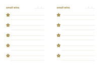 Abrams & Chronicle Books - Small Wins - A Journal to Celebrate Your Mini Milestones (Diary or Journal)