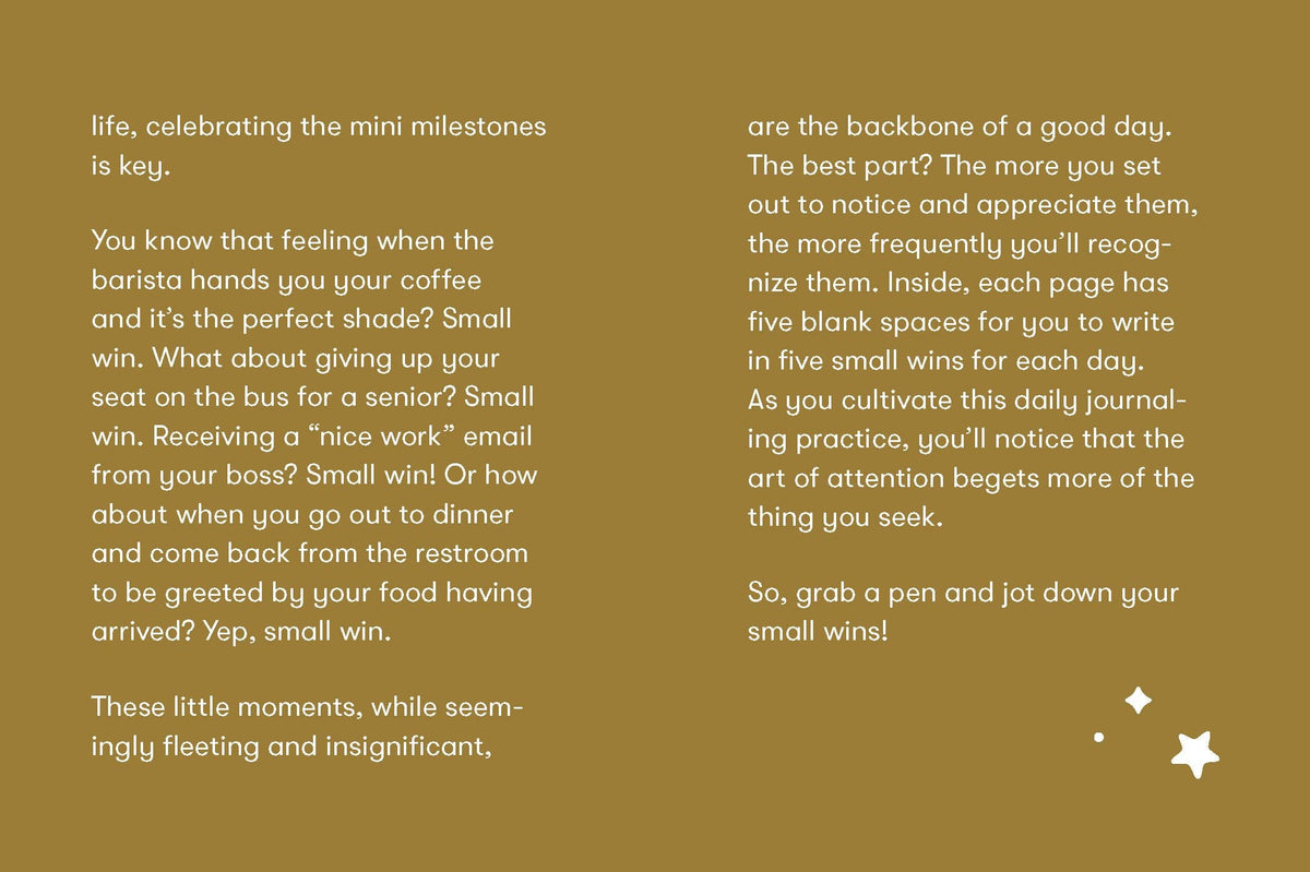 Abrams & Chronicle Books - Small Wins - A Journal to Celebrate Your Mini Milestones (Diary or Journal)