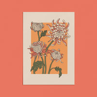 cai & jo - Perrenial Card: With cello wrap