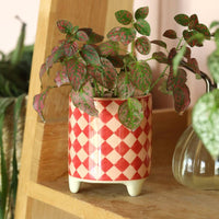 Lisa Angel (US Duties Paid) - Pink and Red Checkerboard Mini Plant Pot