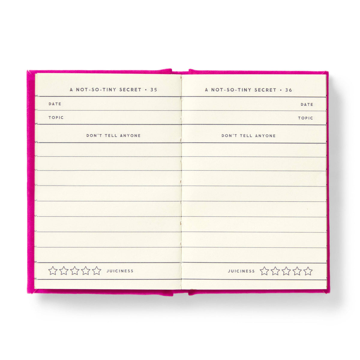 Abrams & Chronicle Books - Tiny Diary for Not So Tiny Secrets (Diary or Journal)