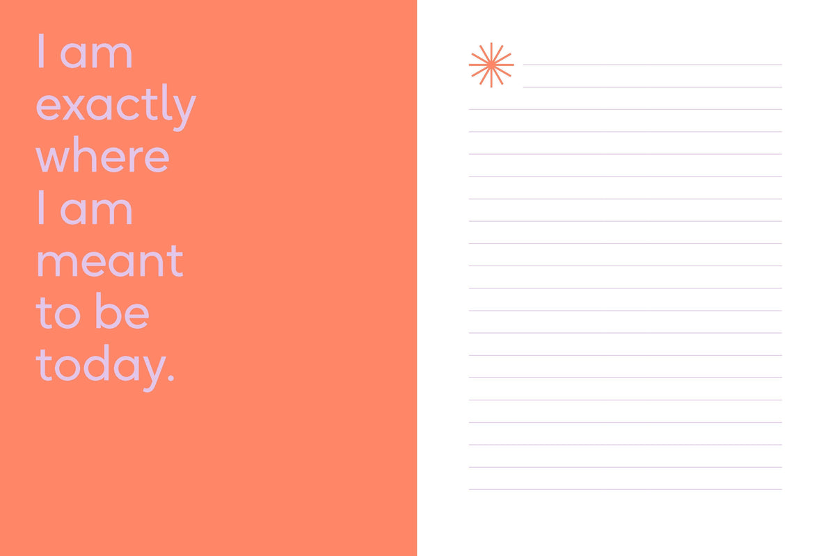 Abrams & Chronicle Books - Manifest That Sh*t - A Journal to Turn Your Dreams into Reality (Diary or Journal)