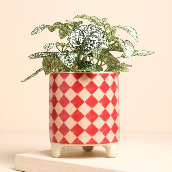 Lisa Angel (US Duties Paid) - Pink and Red Checkerboard Mini Plant Pot