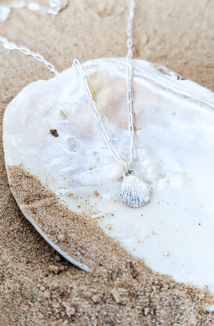The Seashell Necklace