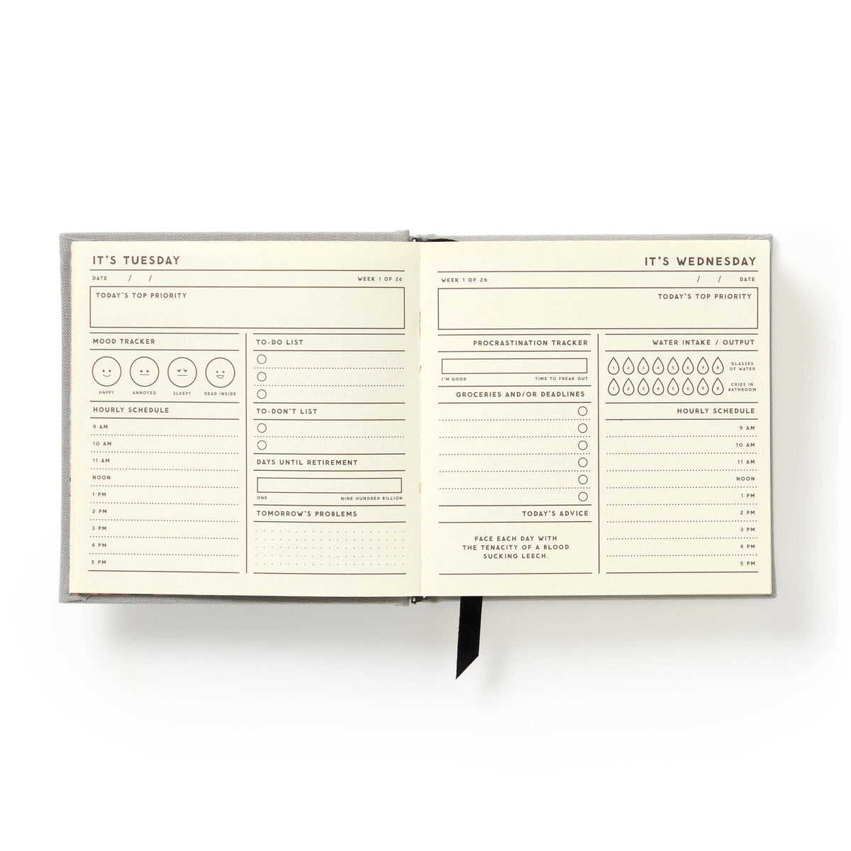 Abrams & Chronicle Books - My Master Plan Productivity Guide (Diary or Journal)