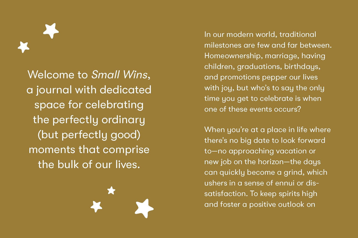 Abrams & Chronicle Books - Small Wins - A Journal to Celebrate Your Mini Milestones (Diary or Journal)