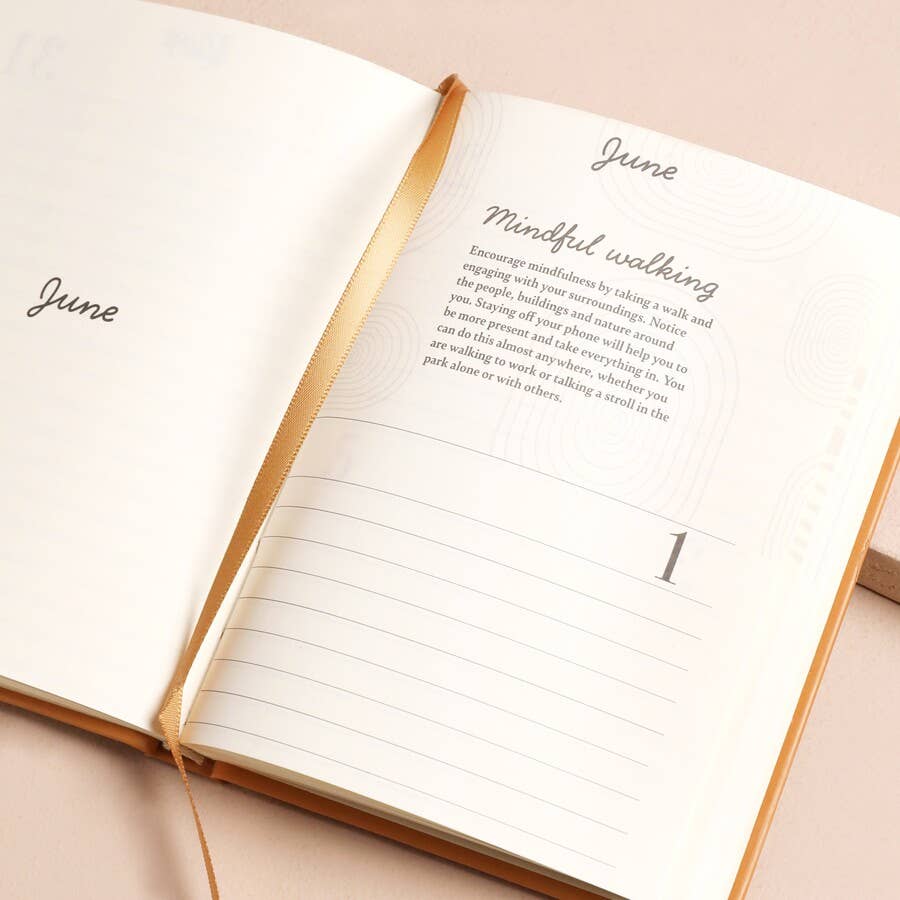 Lisa Angel - 52 Weeks of Positivity Wellness Journal